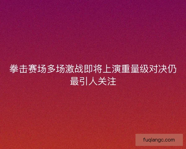 拳击赛场多场激战即将上演重量级对决仍最引人关注