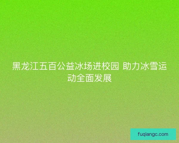 黑龙江五百公益冰场进校园 助力冰雪运动全面发展